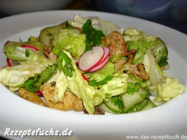 Grüner Salat mit Schnetzeln und Radieschen