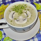 Champignon Cremesuppe