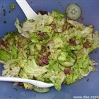 Grüner Salat mit Gurke