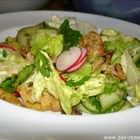 Grüner Salat mit Schnetzeln und Radieschen