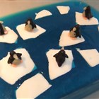 Im ewigen Eis: Pinguine