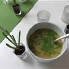 Kartoffel-Zucchini-Suppe